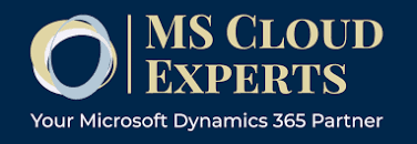 MS Cloud Experts